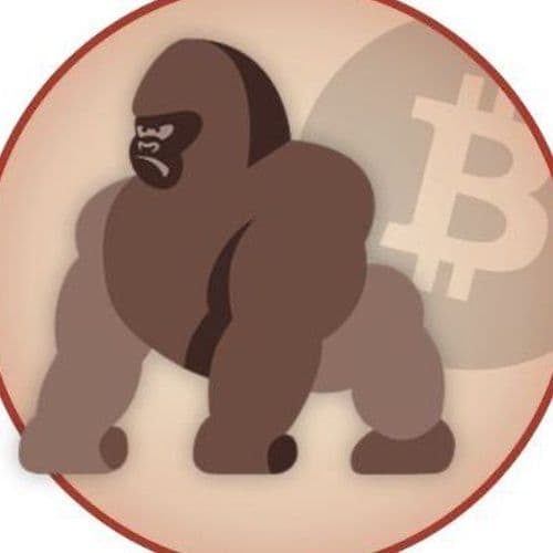 Crypto Kings